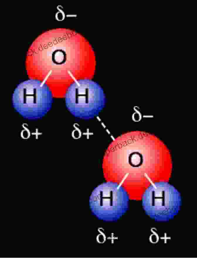 A Diagram Of A Molecule Of Water, Showing Two Hydrogen Atoms Bonded To An Oxygen Atom Elementary Particles : The Building Blocks Of The Universe Physics And The Universe Children S Physics