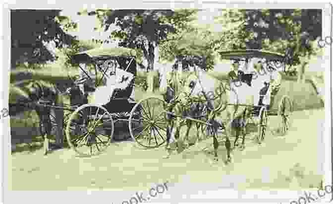 A Horse Drawn Carriage On The White Horse Pike In The Early 1900s. The White Horse Pike (Images Of America)