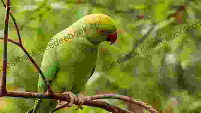 A Parrot Sitting On A Branch In The Jungle It S A Jungle Out There Jungle Animals For Kids Children S Environment