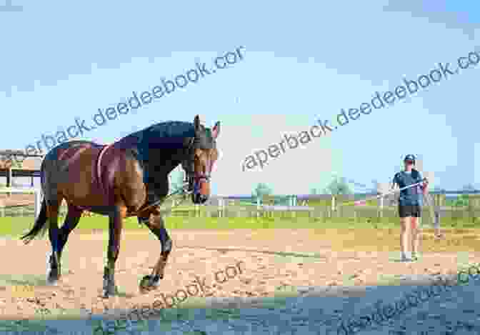 A Photo Of A Horse Being Trained By A Woman. Basic Training For Horses (Doubleday Equestrian Library)