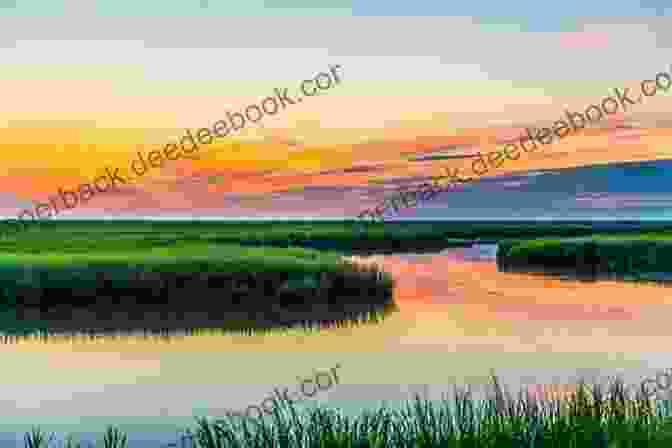 Bombay Hook National Wildlife Refuge, Delaware Easy Weekend Getaways From Washington DC: Short Breaks In Delaware Virginia And Maryland (Easy Weekend Getaways)