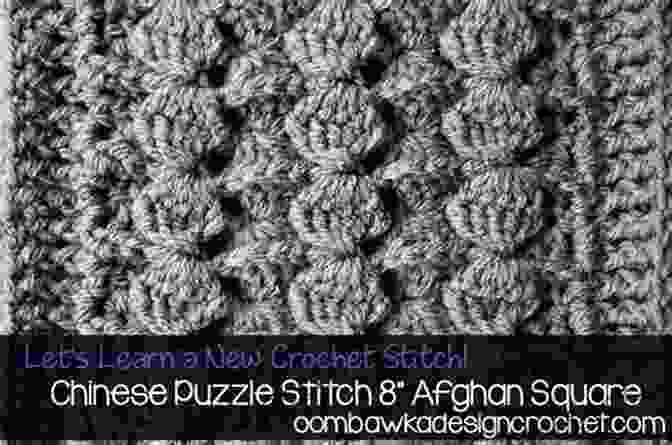 Chinese Puzzle Stitch With Intricate Geometric Designs Resembling Chinese Puzzles Professional Crochet Stitch Guide: Chinese Puzzle Stitch Cable Stitch Crocodile Stitch Picot Stitch Waffle Stitch Popcorn Stitch Shell Stitch Seed (Crochet Hook A Crochet Accessories)