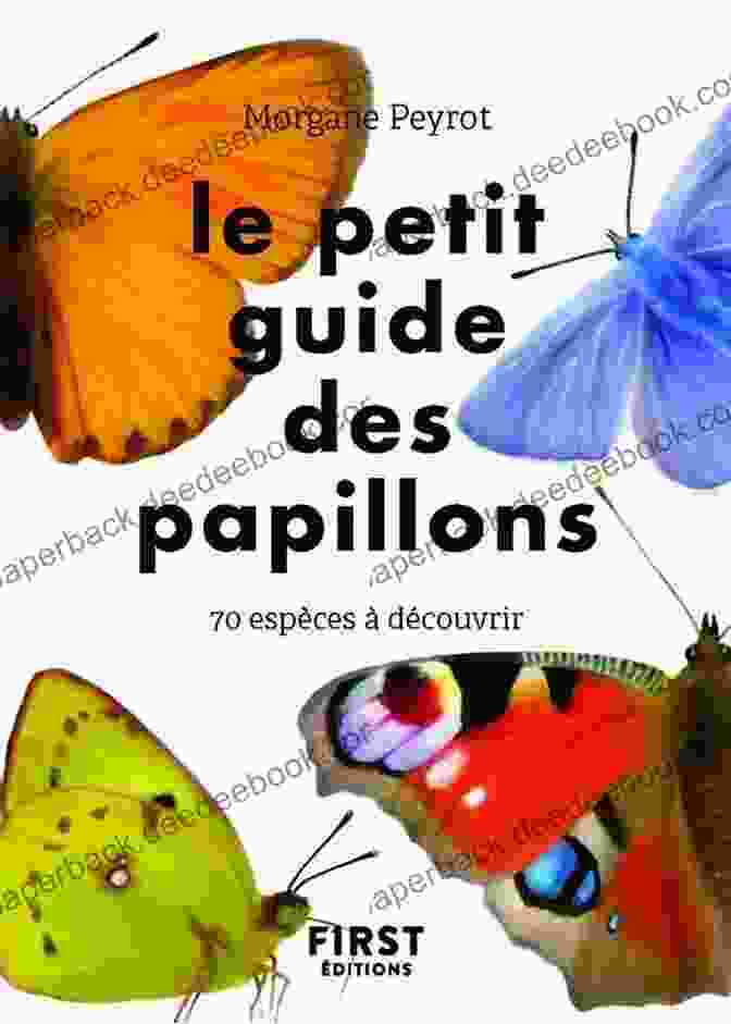 Cover Of Le Petit Guide Des Papillons Le Petit Guide Des Papillons