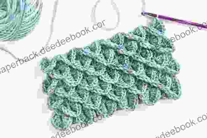 Crocodile Stitch With A Series Of Raised Bumps Resembling The Scales Of A Crocodile Professional Crochet Stitch Guide: Chinese Puzzle Stitch Cable Stitch Crocodile Stitch Picot Stitch Waffle Stitch Popcorn Stitch Shell Stitch Seed (Crochet Hook A Crochet Accessories)