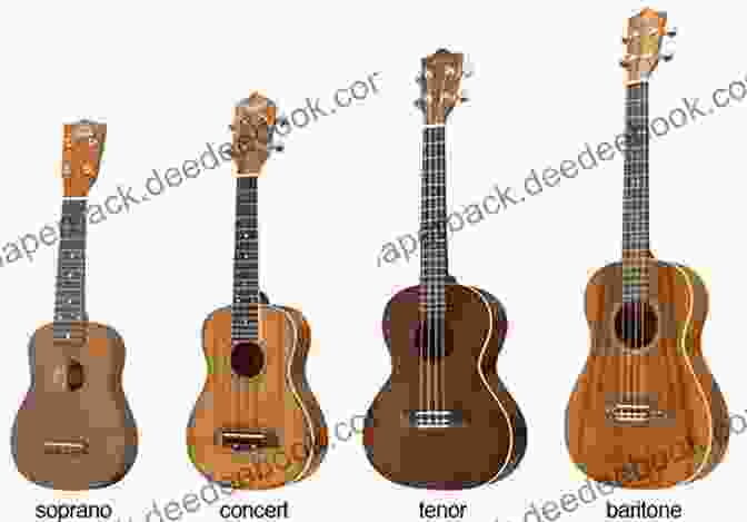 Different Types Of Ukuleles, From Soprano To Baritone UKULELE BEGINNER TO BRILLIANT 2: INTERMEDIATE: A COMPLETE METHOD FOR PLAYING THE UKULELE (UKULELE: BEGINNER TO BRILLIANT)