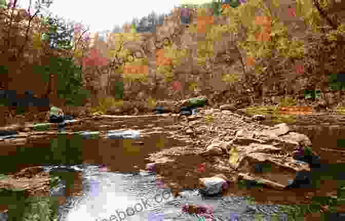 Hikers Enjoying A Scenic Trail In Colby County's Lush Ozark Forests. Bid To Love (Colby County 1)