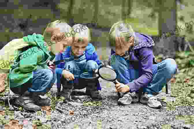 Image Of Students Engaged In Outdoor Education, Exploring Nature And Participating In Hands On Activities. Alternative Approaches To Education: A Guide For Teachers And Parents