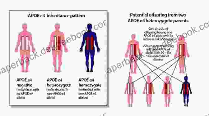 Image Representing The Potential Genetic Relationship Between Autism And Alzheimer's Disease Cindy Erica S Obsession To Solve Today S Health Care Crisis: Autism Alzheimer S Disease Cardiovascular Disease ALS And More