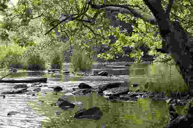 Oatka Creek Park Offers Tranquil Waters For Kayaking And Canoeing Surrounded By Lush Greenery. Exploring Genesee County New York