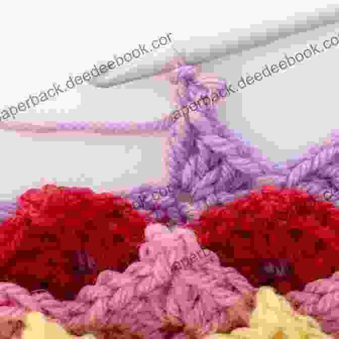 Picot Stitch With Small Loops And Openwork Patterns Adorning The Edge Of A Knitted Fabric Professional Crochet Stitch Guide: Chinese Puzzle Stitch Cable Stitch Crocodile Stitch Picot Stitch Waffle Stitch Popcorn Stitch Shell Stitch Seed (Crochet Hook A Crochet Accessories)