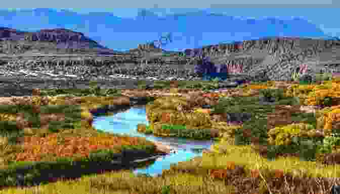 Stunning Panoramic View Of Big Bend National Park, Showcasing Its Rugged Mountains And Meandering Rio Grande A Paradise Called Texas Janice Jordan Shefelman