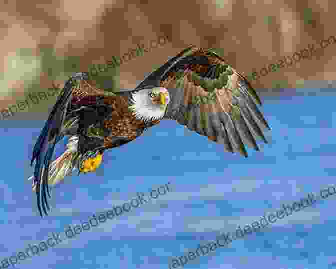 Tess Thompson's Photograph Of A Majestic Eagle Soaring Over The Riverbend River Valley Riverbend (River Valley 2) Tess Thompson