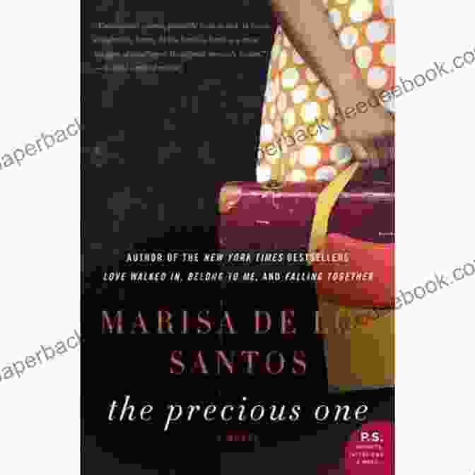 The Precious One Book Cover The Precious One: A Novel