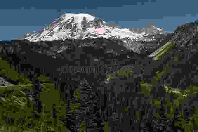 The Snow Capped Peak Of Mount Rainier Towering Over A Lush Green Valley. Pines To Palms: A West Coast Road Trip Adventure