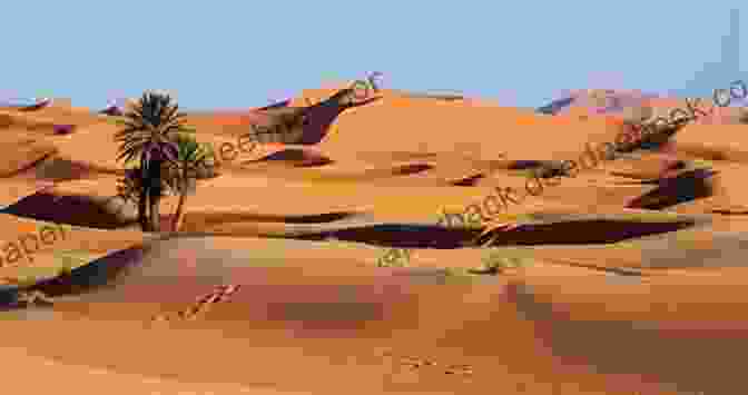 The Vast And Enigmatic Sahara Desert In Northern Africa The Great Wonders Of Africa