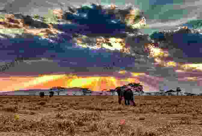 The Vast And Teeming Serengeti National Park In Tanzania The Great Wonders Of Africa