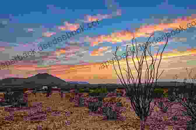 Vast And Sprawling Landscape Of Texas, Showcasing Its Diverse Natural Beauty A Paradise Called Texas Janice Jordan Shefelman