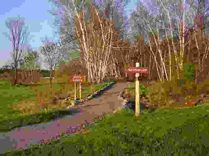 Viles Arboretum A Walking Tour Of Augusta Maine (Look Up America Series)