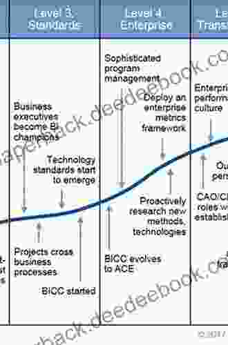 Profiles in Performance: Business Intelligence Journeys and the Roadmap for Change