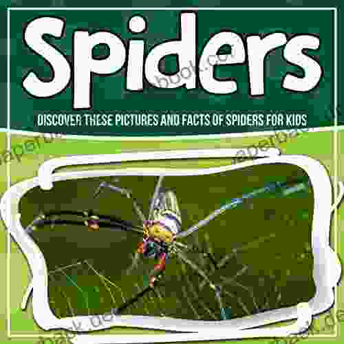 Spiders: Discover These Pictures And Facts Of Spiders For Kids