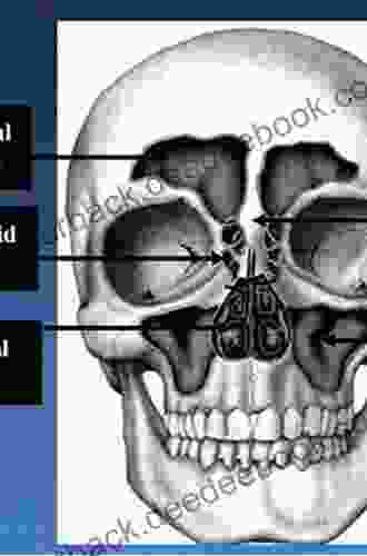 Rhinology: Diseases of the Nose Sinuses and Skull Base