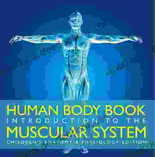 Human Body Introduction To The Muscular System Children S Anatomy Physiology Edition