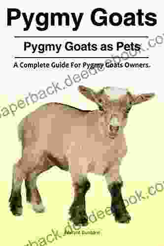 Pygmy Goats Pygmy Goats as Pets: A Complete Guide For Pygmy Goats Owners