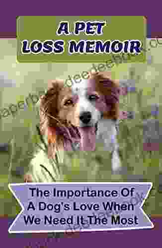 A Pet Loss Memoir: The Importance Of A Dog S Love When We Need It The Most: The Adventures Of A Canine Caregiver