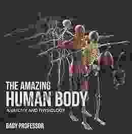 The Amazing Human Body Anatomy and Physiology