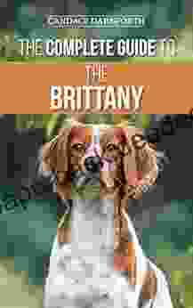 The Complete Guide to the Brittany: Selecting Preparing for Feeding Socializing Commands Field Work Training and Loving Your New Brittany Spaniel Puppy