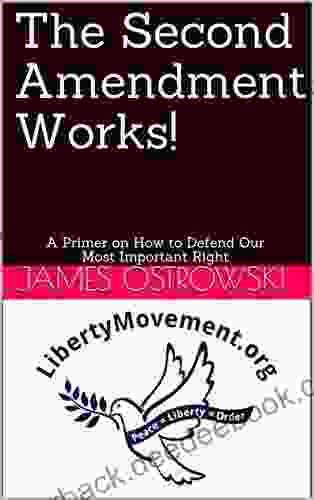 The Second Amendment Works : A Primer on How to Defend Our Most Important Right