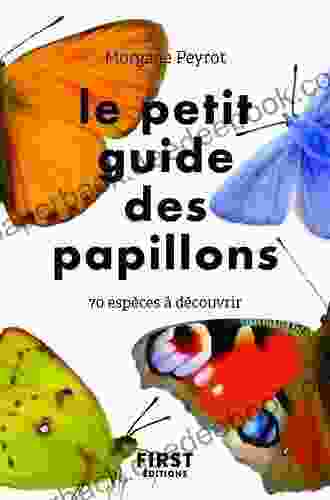 Le Petit Guide Des Papillons