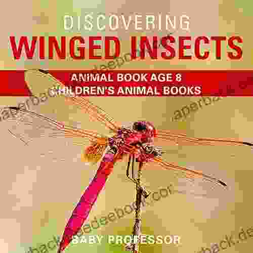 Discovering Winged Insects Animal Age 8 Children S Animal