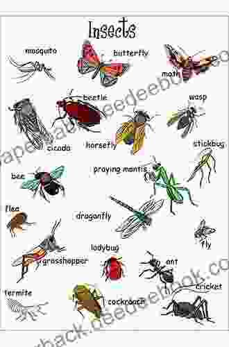 Who Likes Bugs? We Do Animal Age 8 Children S Animal