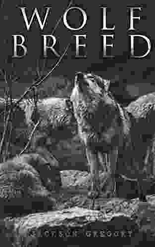 Wolf Breed: Western Novel Jackson Gregory